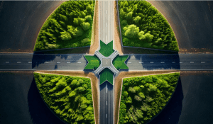 Clínica Fluamente - Sil Simplício